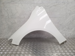 Front fender - A2478810900