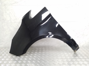 Front fender - A447881614003
