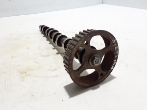 RENAULT Laguna III (2007–2015) Camshaft 8200911103 - 2