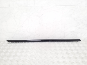 Front door outer window molding - 7465150
