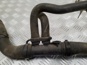 RENAULT Clio III (2005–2012) Wasserschlauch Kühler 215038371R - 3