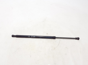   Trunk lid shock absorber 