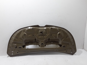 RENAULT Trafic lV (2022–2026) Hood 651224333R - 4