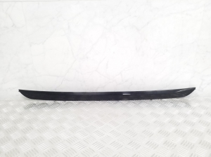 Rear bumper molding - 7428025