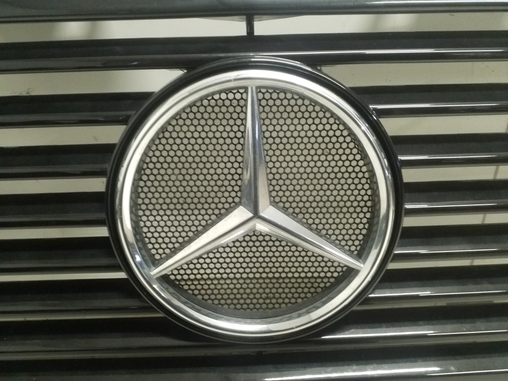 MERCEDES-BENZ G-Class W463 (1990-2024) Priekinės viršutinės grotelės A4638880615 23804124