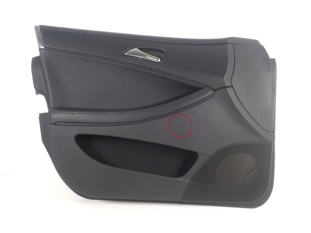 MERCEDES-BENZ CLS-Class C219 (2004-2010) Front venstre dørpanel A2197209162 23686791