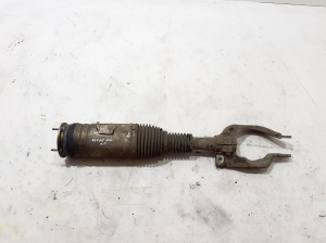   Stoßdämpfer vorne  - LR138998 