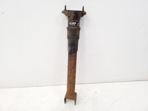   Stoßdämpfer hinten  - A1643202531 