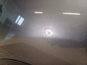 NISSAN Leaf I (2010–2017) Kapott ja selle osad F51003NLMA - 4