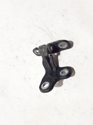  Front door lower hinge  - LR073595 