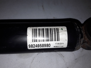 Opel Grandland X (2017–2026) Stoßdämpfer hinten 9824958980 - 2