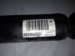 Opel Grandland X (2017–2026) Stoßdämpfer hinten 9824958980 - 2