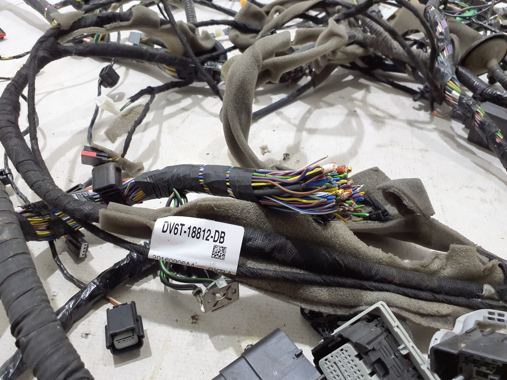 FORD Kuga 2 generation (2013-2020) Interior wiring harness (left) DV6T18812DB 23955662