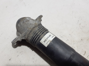 Skoda Octavia III (2013–2019) Stoßdämpfer hinten 5Q0513029MJ - 2