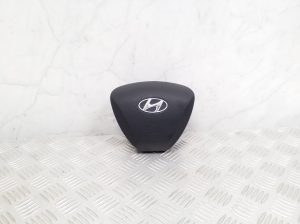 Steering wheel airbag - 569003Z100RY