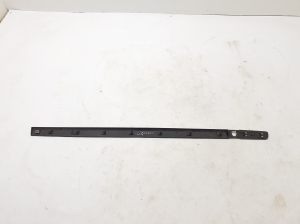 RENAULT Clio III (2005–2012) Front door molding 8200289920 - 4