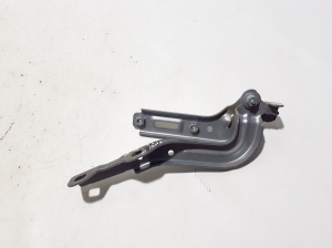   Engine cover hinge 