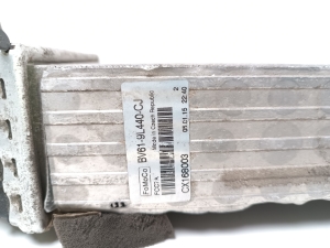 Ford Focus (2011–2018) Vahejahuti radiaator BV619L440CJ - 5