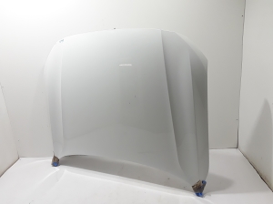 Motorhaube - 31386635