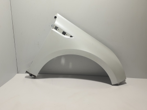 Front fender - 631009406R