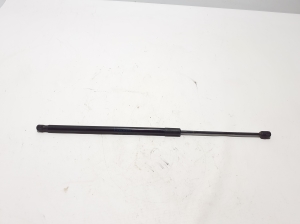   Trunk lid shock absorber 