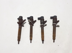   Fuel injector 