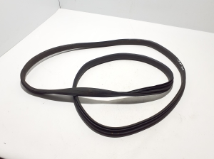 Front door rubber seal - 808329324R