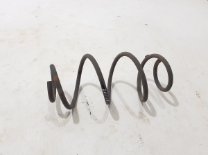 Rear spring - 550207544R