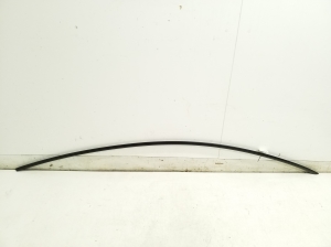Tesla Model 3 3 (2016–2024) Dachleiste 108352001D