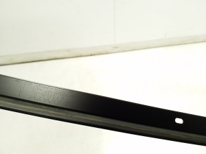 Tesla Model 3 3 (2016–2024) Dachleiste 108352001D - 2