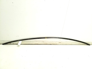 Tesla Model 3 3 (2016–2024) Dachleiste 108351901D - 2