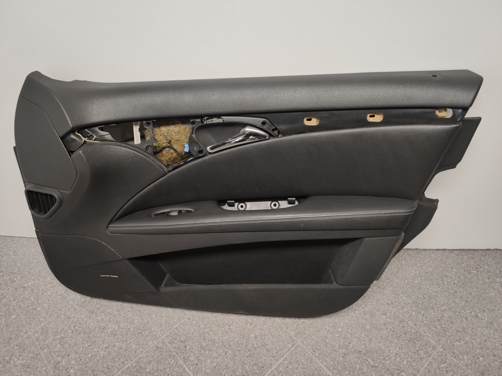 MERCEDES-BENZ E-Class W211/S211 (2002-2009) Front høyre dørpanel A2117201678 24287578