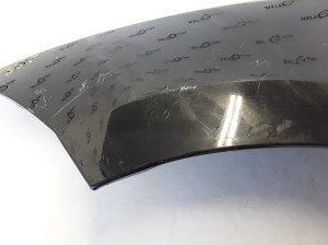 RENAULT Megane III (2008–2016) Front fender 631010031R - 2
