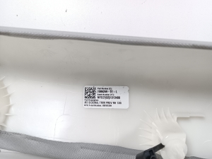 Tesla Model 3 3 (2016–2024) Tagumise toe sisekujundus 108626901L - 4