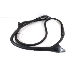 Tesla Model 3 3 (2016–2024) Front door rubber seal 109050000L - 2