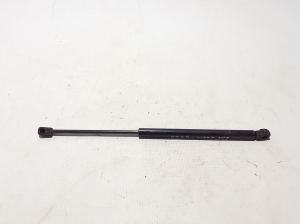   Bonnet support/cylinder 