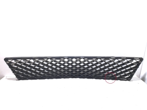  Front bumper lower grille 