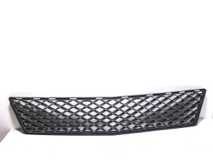   Front bumper lower grille 