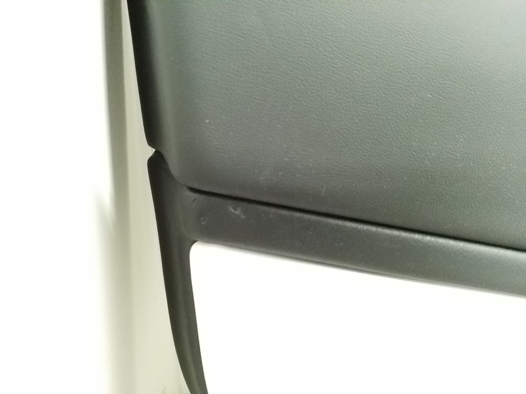 TESLA Model 3 1 generation (2017-2024) Rear Left Door Panel 24486518