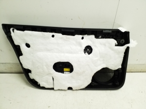 Tesla Model 3 3 (2016–2024) Front door panel - 3