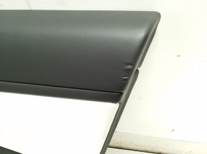 Tesla Model 3 3 (2016–2024) Front door panel - 5