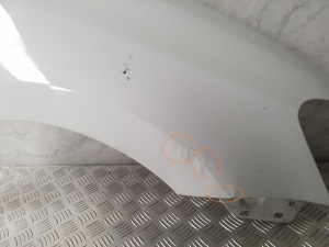 Volkswagen Polo V (2009–2017) Front fender 6R0821106 - 2