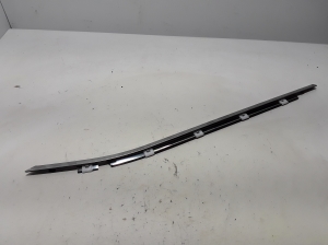   Rear side door outer window molding  - 7573078020 