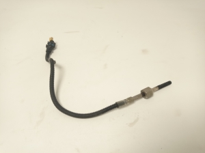 Abgastemperatursensor - A0009058904
