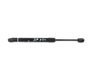   Trunk lid shock absorber 