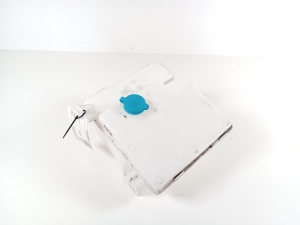 Front washer fluid reservoir - 289101968R