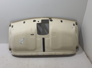 RENAULT Master (2019–2024) Dachhimmel 739016650R - 3