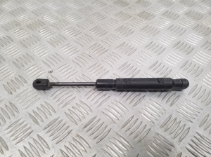 Hood prop/gas strut - 7207188