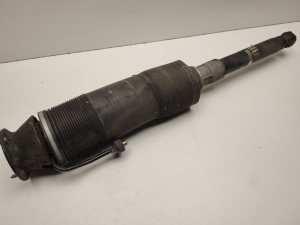 Mercedes Benz CL-Class 215 (1999–2006) Stoßdämpfer hinten A2203201836 - 5