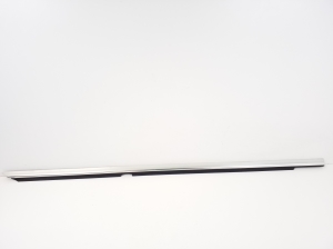   Rear side door strip to glass outer 